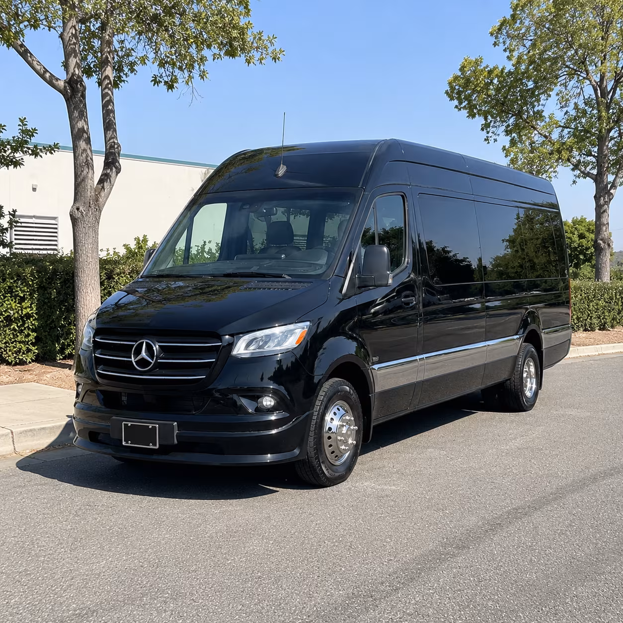 jurupa valley 12 passenger sprinter van